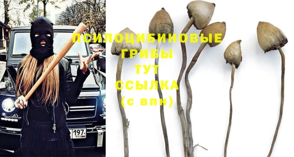 ALPHA PVP Алзамай