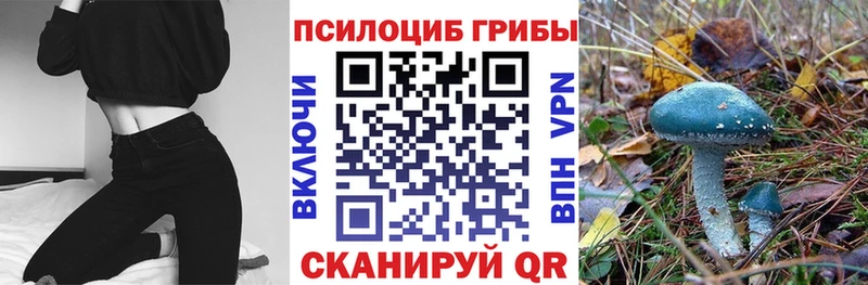 Галлюциногенные грибы MAGIC MUSHROOMS  блэк спрут маркетплейс  Омск 