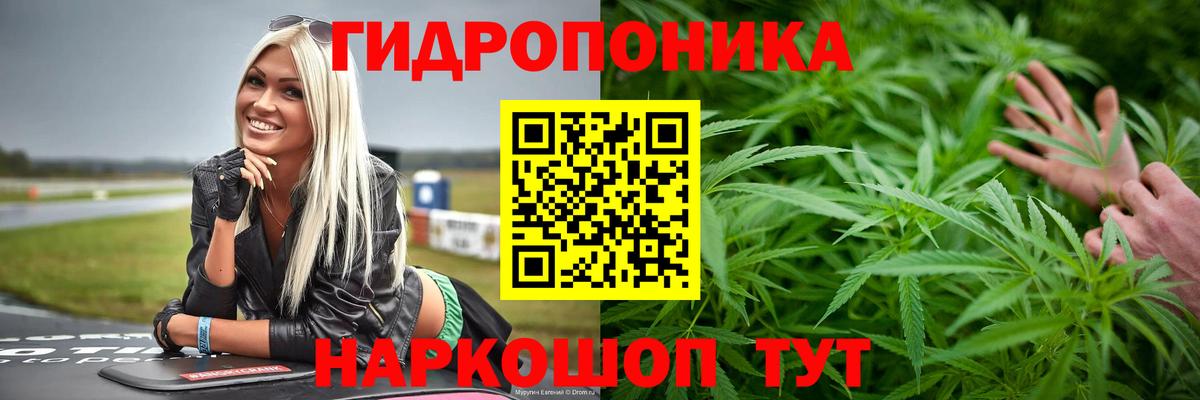 Бошки Шишки конопля  Вход с VPN  Омск  Шишки марихуана LSD WEED  Конопля LSD WEED 
